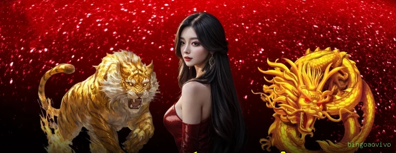 Guia rápido de apostas ao vivo na bingoaovivo